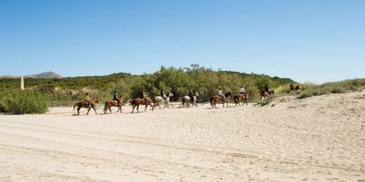 Real Estates picture 31 Ref. 77846