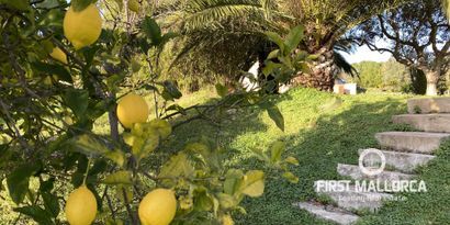 Immobilien picture 12 Ref. Nr. 78316