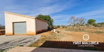 Real Estates picture 11 Ref. R24473