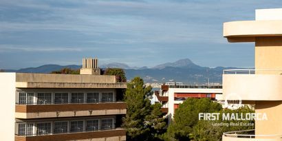 Real Estates picture 29 Ref. 78359