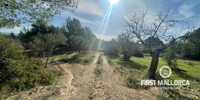 Immobilien picture 3 Ref. Nr. 78551