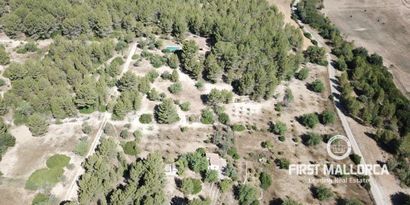 Immobilien picture 4 Ref. Nr. 78551