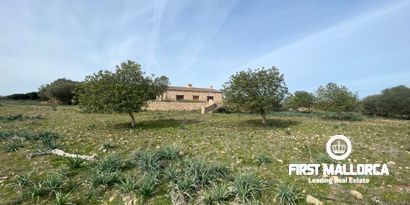 Immobilien picture 7 Ref. Nr. 78553