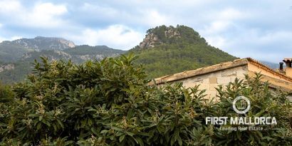 Inmobiliaria picture 17 Ref. Nº. 78378