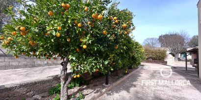 Real Estates picture 21 Ref. Nr. R24640