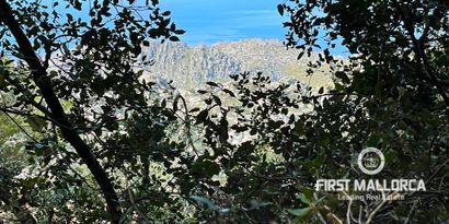 Immobilien picture 3 Ref. Nr. 78781