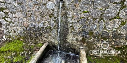 Immobilien picture 15 Ref. Nr. 78781