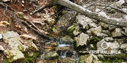 Immobilien picture 1 Ref. Nr. 78781