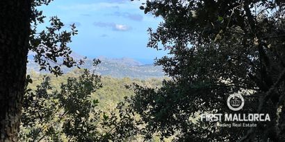 Immobilien picture 16 Ref. Nr. 78781