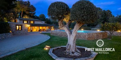 Immobilien picture 0 Ref. Nr. 78796