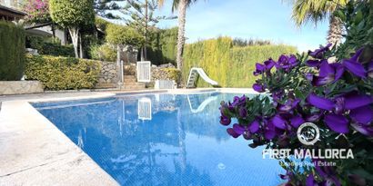 Inmobiliaria picture 0 Ref. Nº. 78812