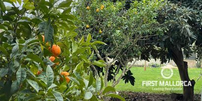 Immobilien picture 21 Ref. Nr. 78936