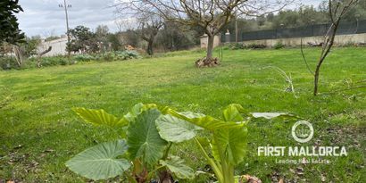 Immobilien picture 24 Ref. Nr. 78936