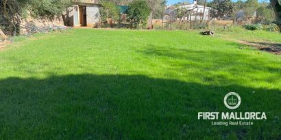 Immobilien picture 25 Ref. Nr. 78936