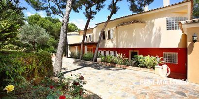 Real Estates picture 12 Ref. R24698