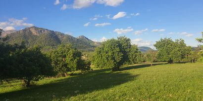 Inmobiliaria picture 5 Ref. Nº. 75459