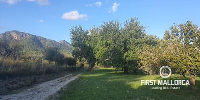 Inmobiliaria picture 3 Ref. Nº. 75459