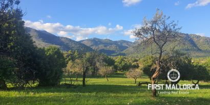 Inmobiliaria picture 1 Ref. Nº. 75459