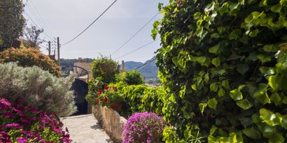 Inmobiliaria picture 18 Ref. Nº. 78931