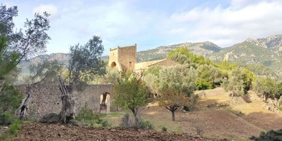 Immobilien picture 7 Ref. Nr. 77200