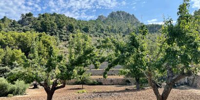 Immobilien picture 3 Ref. Nr. 77200