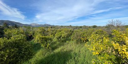 Immobilien picture 2 Ref. Nr. 78996