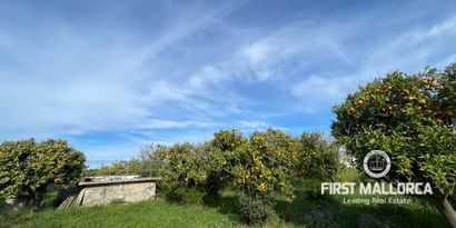 Immobilien picture 17 Ref. Nr. 78996