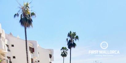 Real Estates picture 7 Ref. 77686