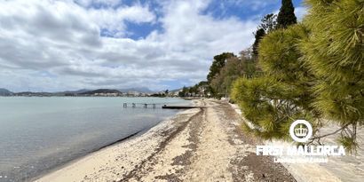 Real Estates picture 15 Ref. R24986