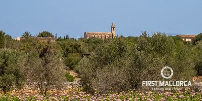 Immobilien picture 42 Ref. Nr. 77290