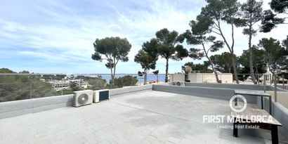 Real Estates picture 20 Ref. 74804