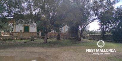 Real Estates picture 6 Ref. 76222