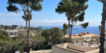 Real Estates picture 21 Ref. 74804