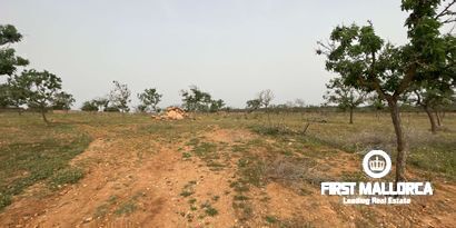 Inmobiliaria picture 5 Ref. Nº. 79175