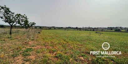 Inmobiliaria picture 0 Ref. Nº. 79175