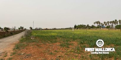 Inmobiliaria picture 3 Ref. Nº. 79175