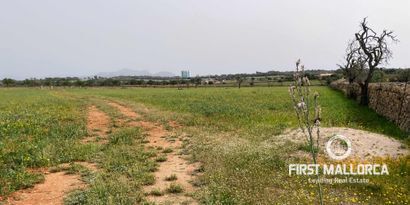 Inmobiliaria picture 1 Ref. Nº. 79175