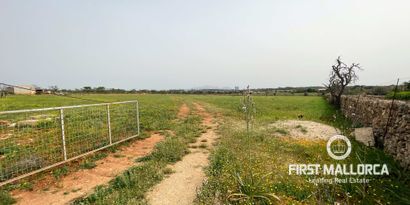 Inmobiliaria picture 2 Ref. Nº. 79175