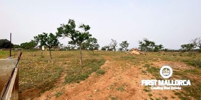 Inmobiliaria picture 6 Ref. Nº. 79175