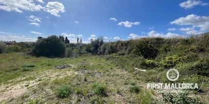 Inmobiliaria picture 2 Ref. Nº. 79182