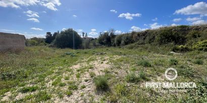 Inmobiliaria picture 1 Ref. Nº. 79182