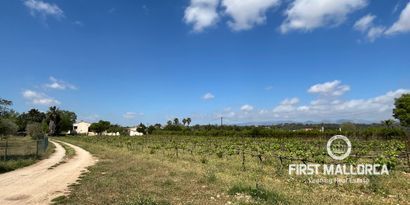 Real Estates picture 3 Ref. Nr. 79083