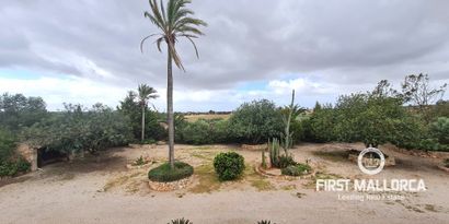 Real Estates picture 4 Ref. Nr. R25162