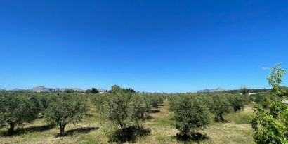 Immobilien picture 0 Ref. Nr. 79202