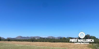 Immobilien picture 7 Ref. Nr. 79202