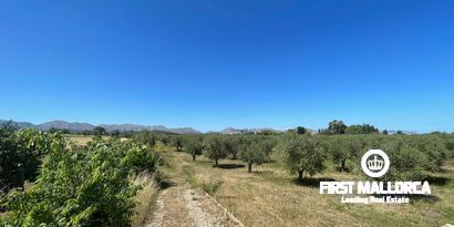 Immobilien picture 5 Ref. Nr. 79202