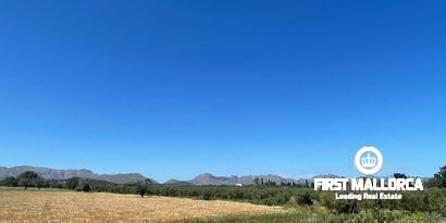 Immobilien picture 3 Ref. Nr. 79202