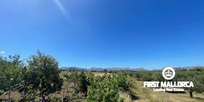 Immobilien picture 4 Ref. Nr. 79202