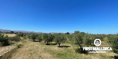 Immobilien picture 6 Ref. Nr. 79202