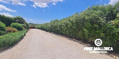 Immobilien picture 11 Ref. Nr. 79255